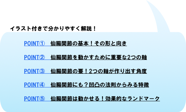 
					ポイント１仙腸関節の基本！その形と向き、
					ポイント２仙腸関節を動かすために重要な2つの軸、
					ポイント３仙腸関節の要！2つの軸が作り出す角度、
					ポイント４仙腸関節にも？凹凸の法則からみる特徴、
					ポイント５仙腸関節は動かせる！効果的なランドマーク
